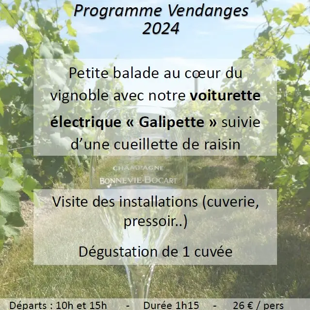 vendanges-champagne-bonnevie-bocart-voiturette-electrique