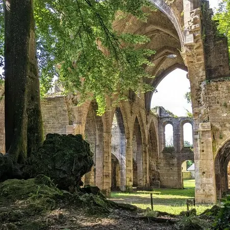 Abbaye Découvrez une ancienne abbaye cistercienne exceptionnelle