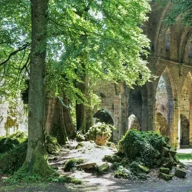Abbaye-Trois-fontaines-levez-le-voile
