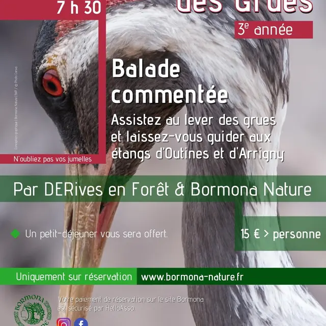 A LA RENCONTRE DES GRUES BORMONA NATURE