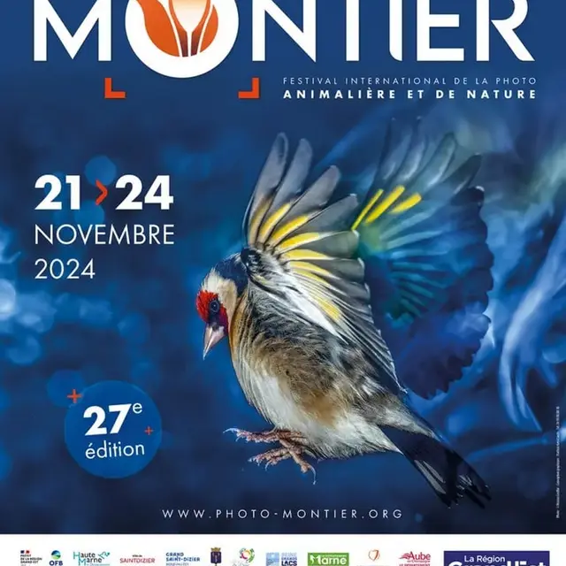 Affiche-Festival-de-la-Photo