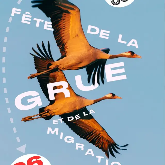 Affiche Fête de la Grue 2025