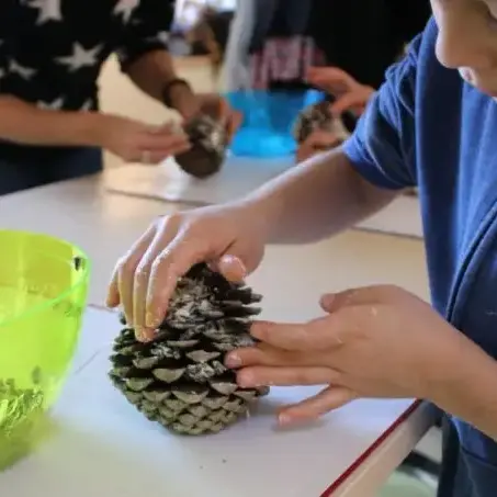 Article-DIY-boule-graisse-oiseau-865x453
