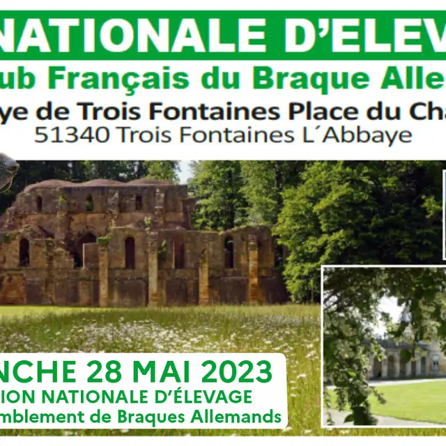 Club Français du Braque Allemand