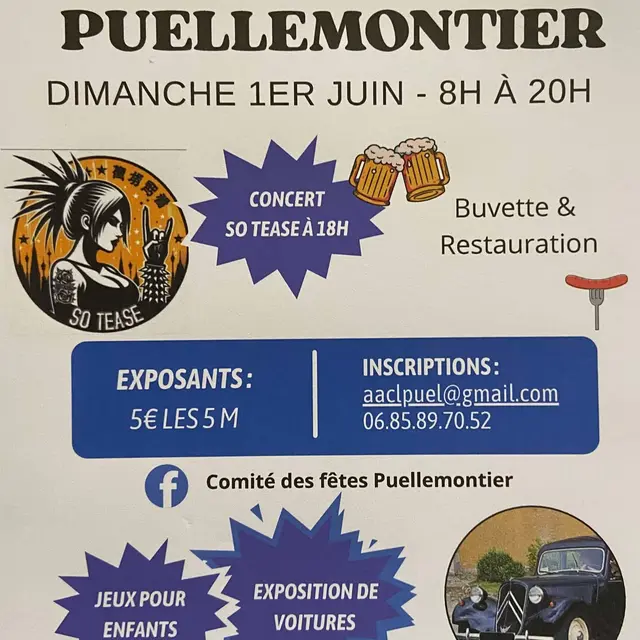 Brocante puellemontier