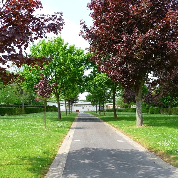 Camping-de-Chalons