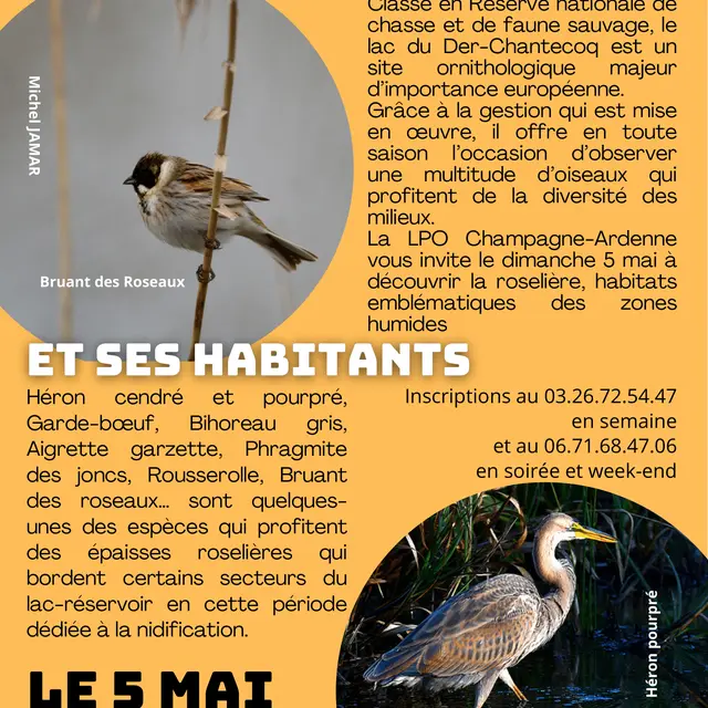 ECL Sortie ROSELIERE 05052024-1