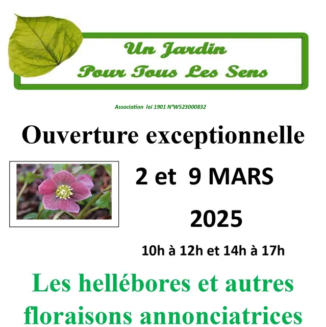 Hellebores 2025_page-0001