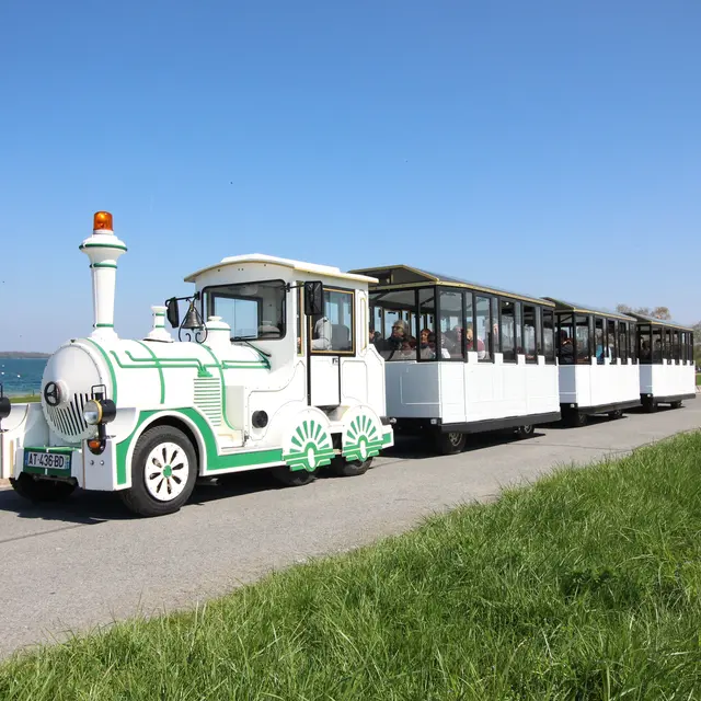 Train du Der sur la digue - Lac du Der en Champagne