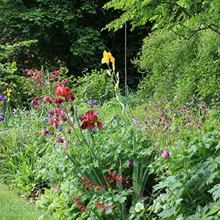 Un jardin pour tous les sens - 1 - Ceffonds