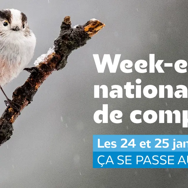 LPO Comptage 24-25janvier2026