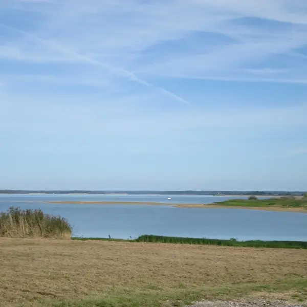 Plage - Lac du Der