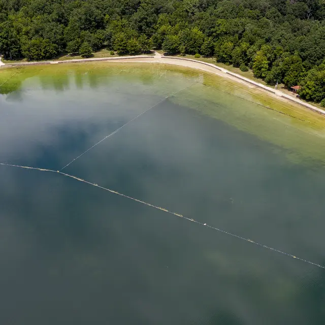 Plage de la Cornée du Der - Lac du Der en Champagne