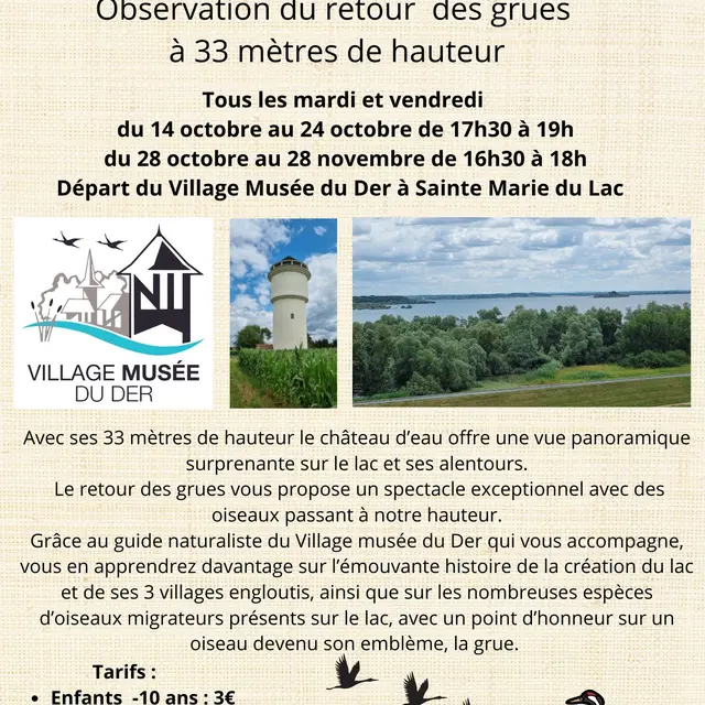 Sortie Ornithologique au Château d'eau - 1