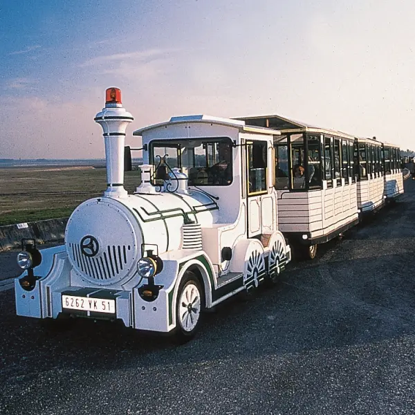 Train aux Oiseaux - Giffaumont Champaubert