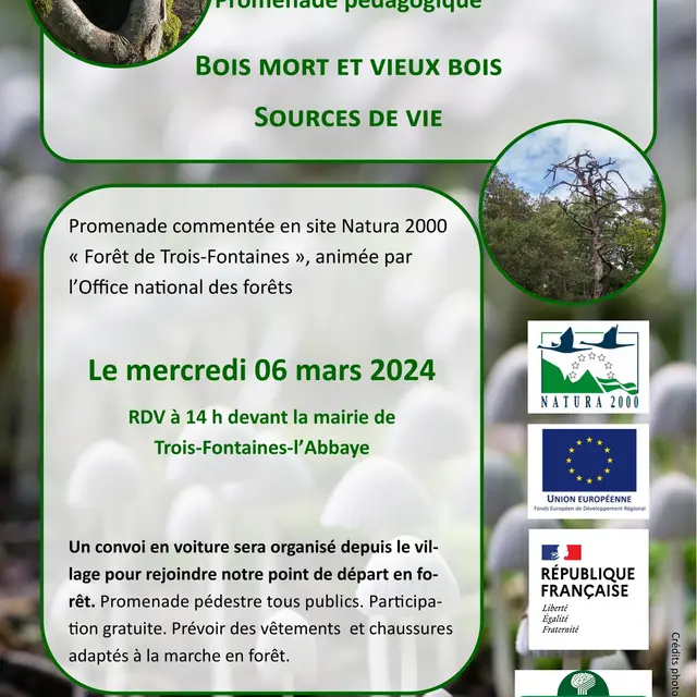 affiche sortie vieux bois-1