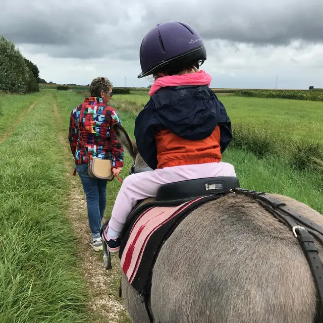 Champ'ânes - balade en liberté
