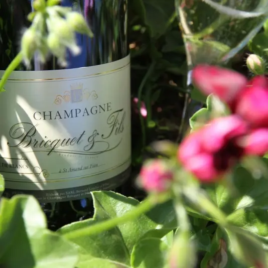 champagne-bricquet-et-fils-saint-amand-sur-fion