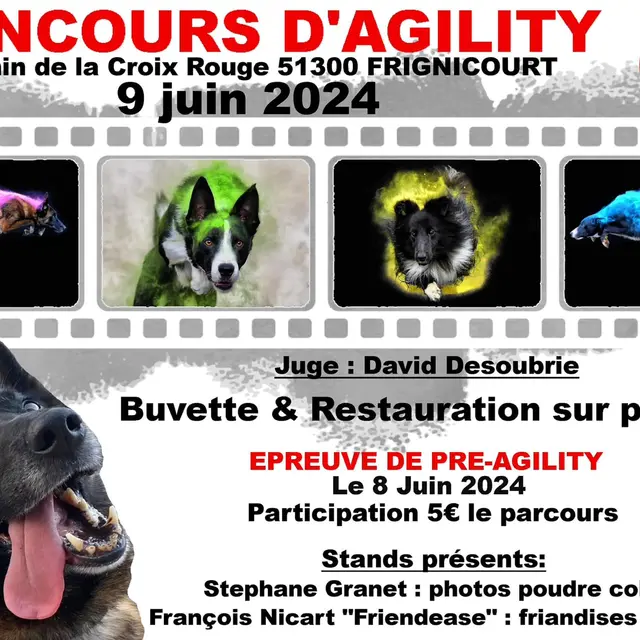 CONCOURS D AGILITY