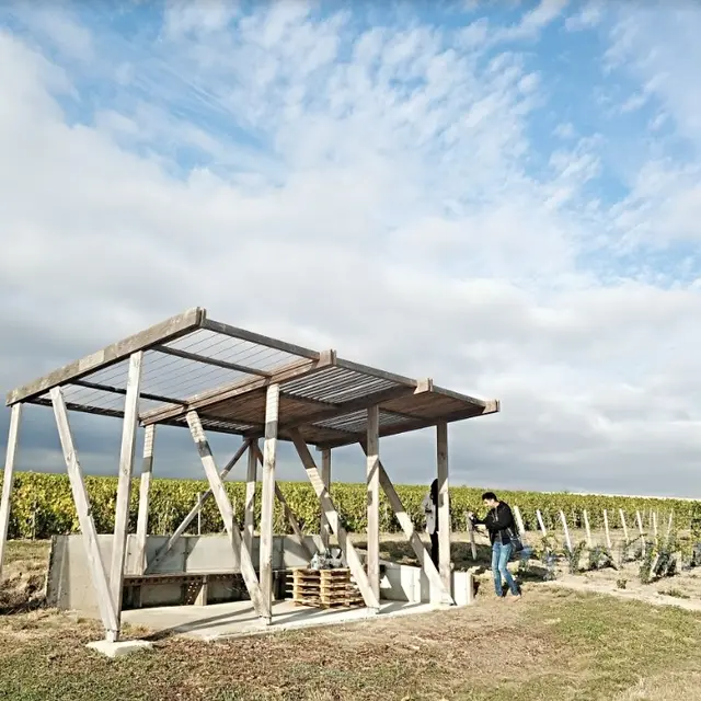 degustation-loge-de-vigne-chalons-1