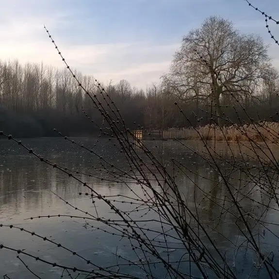 domaine-de-coolus-etang