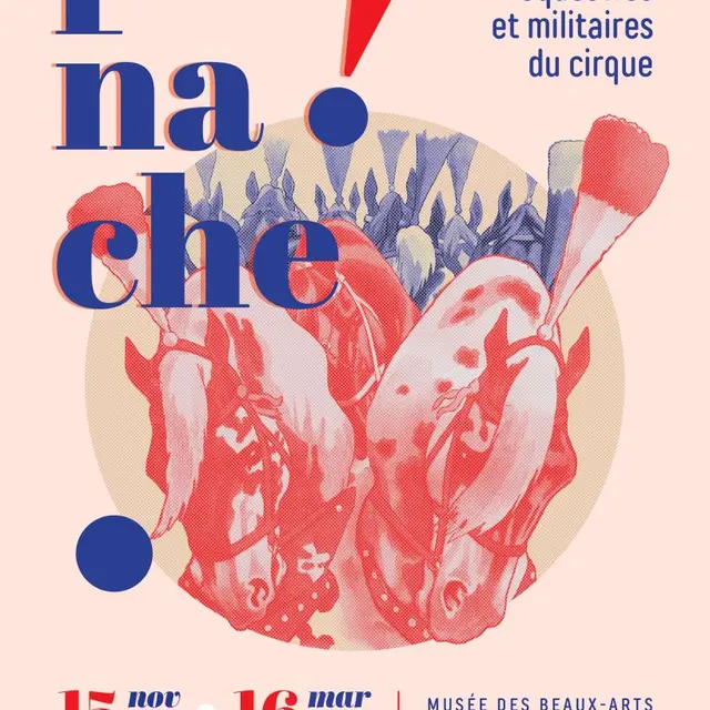 exposition-panache-musee-beaux-arts-chalons