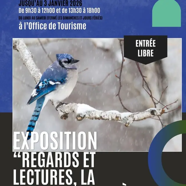 exposition-regards-et-lectures-la-nature-sinvite-a-noel-chalons-tourisme