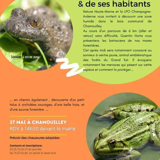 fête nature chamouilley