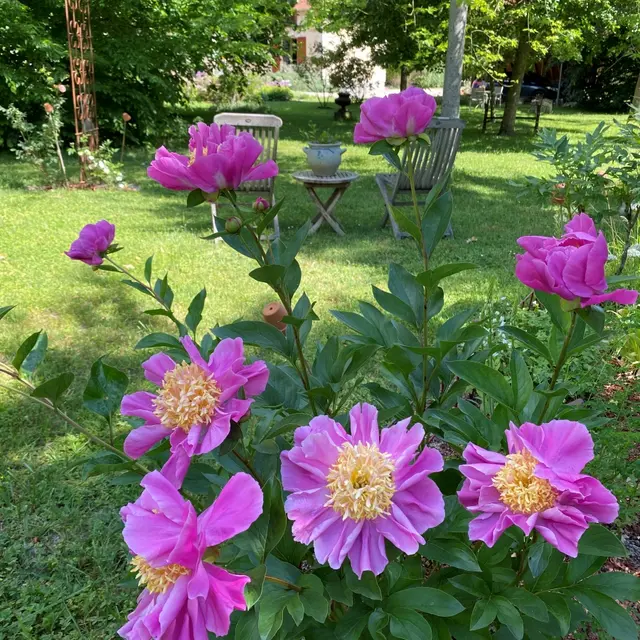 le-parc-fleuri-marson-1