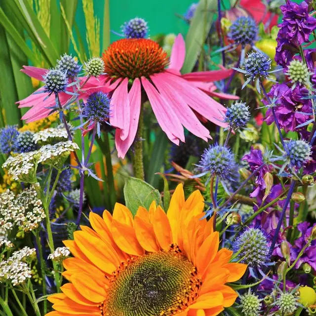 marche-aux-fleurs-chalons