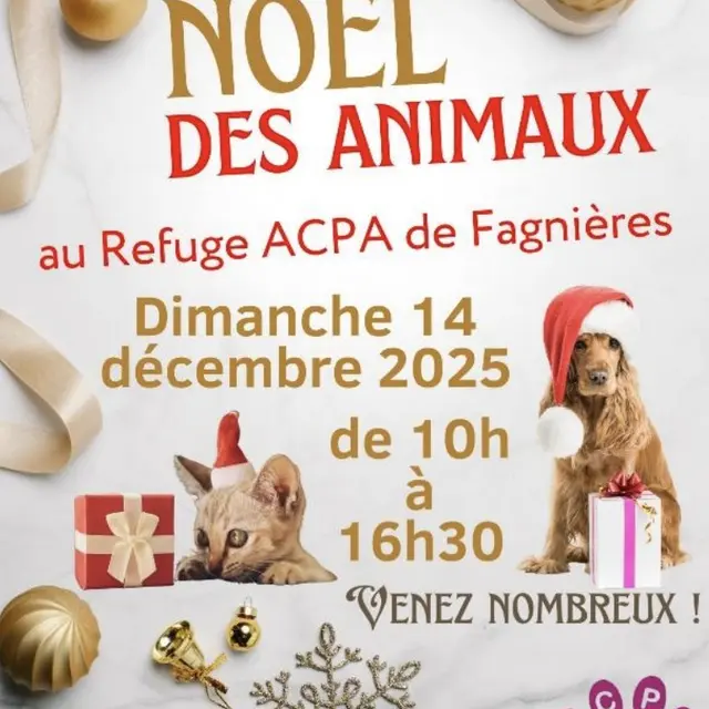 noel-des-animaux-acpa-fagnieres