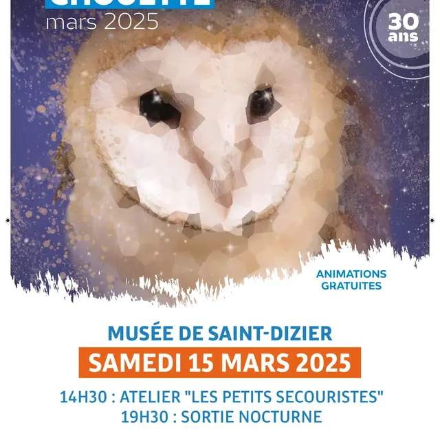 nuit de la chouette SD
