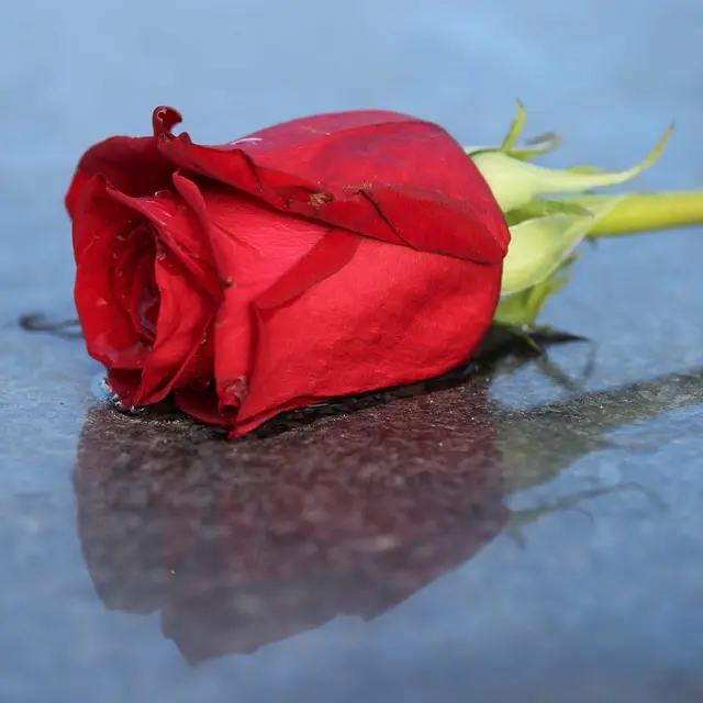 Cimetière