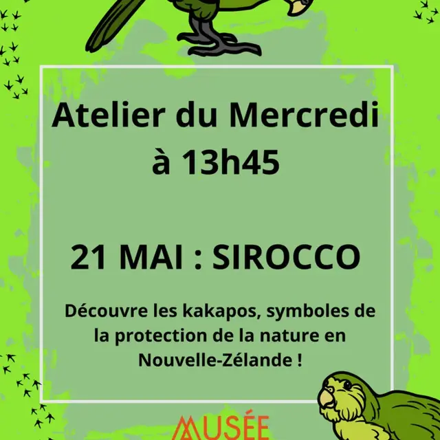 sirocco