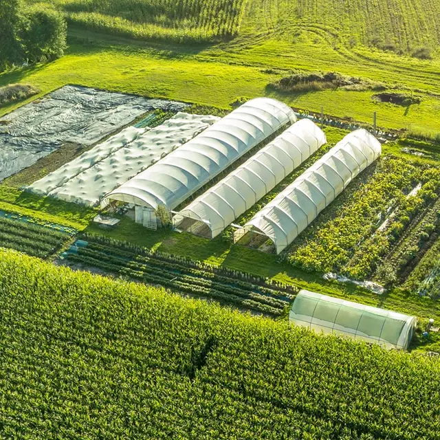 474634423_548665404794429_230059784911955671_n