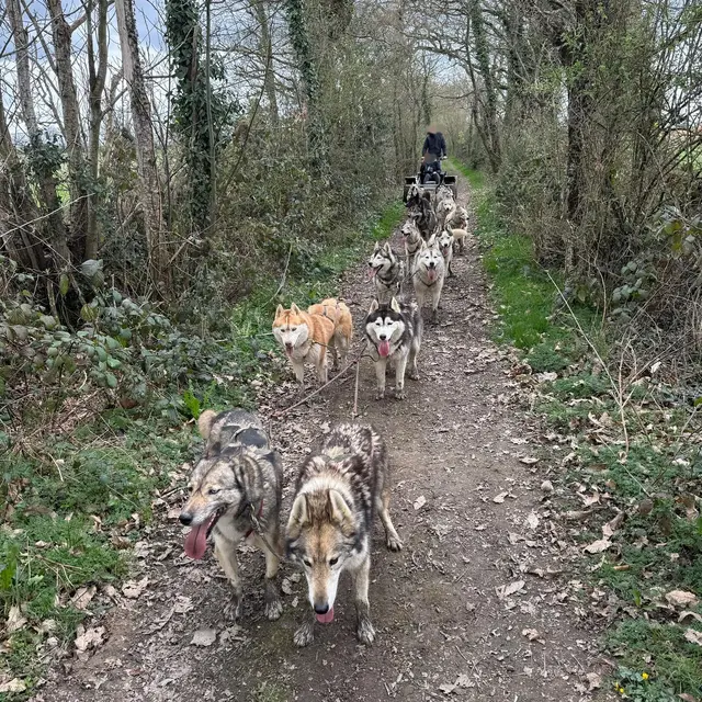 486705629_17965771826853152_3924178791761646754_n