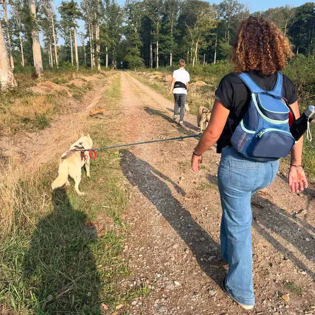 533084189_17981228276853152_7852042410289953562_n