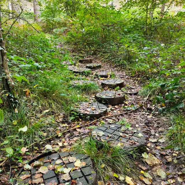 pas japonnais sur le parcours