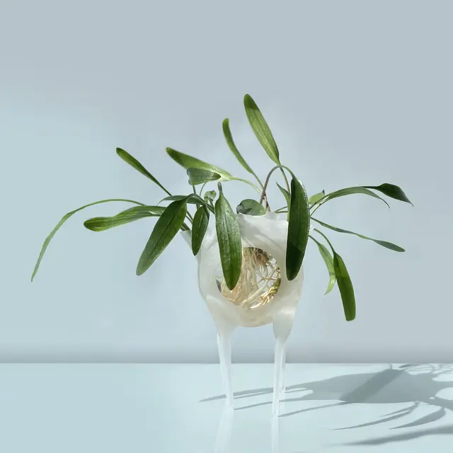 18 - formes fertiles ©Éléonore Gold-Dalg_tout droit réservé (1)