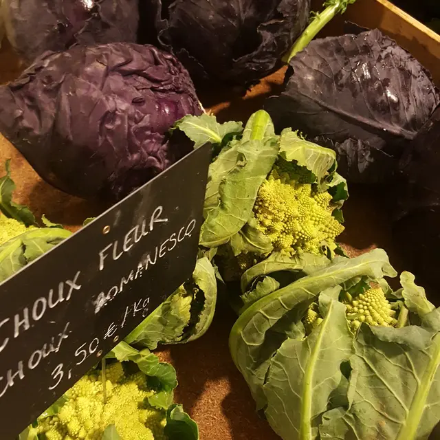 Marché de producteurs de Martigné sur Mayenne