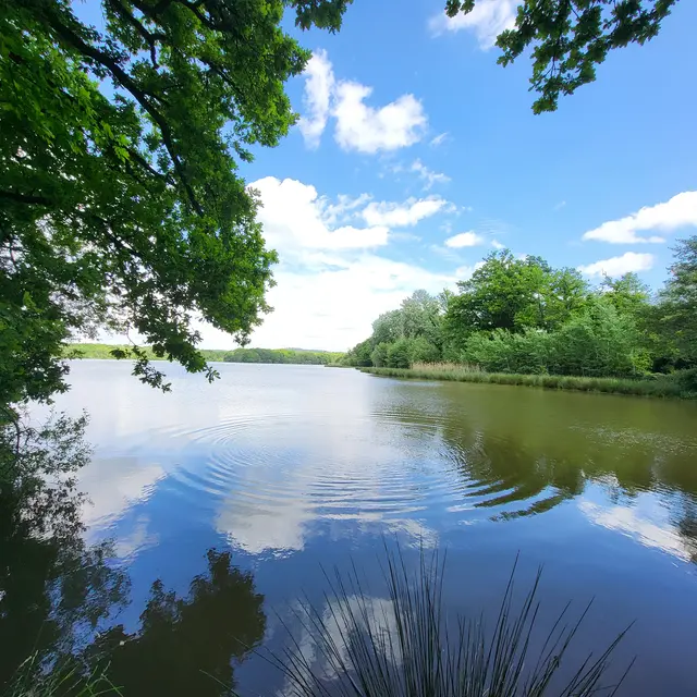 2025_gué_de_selle (3)