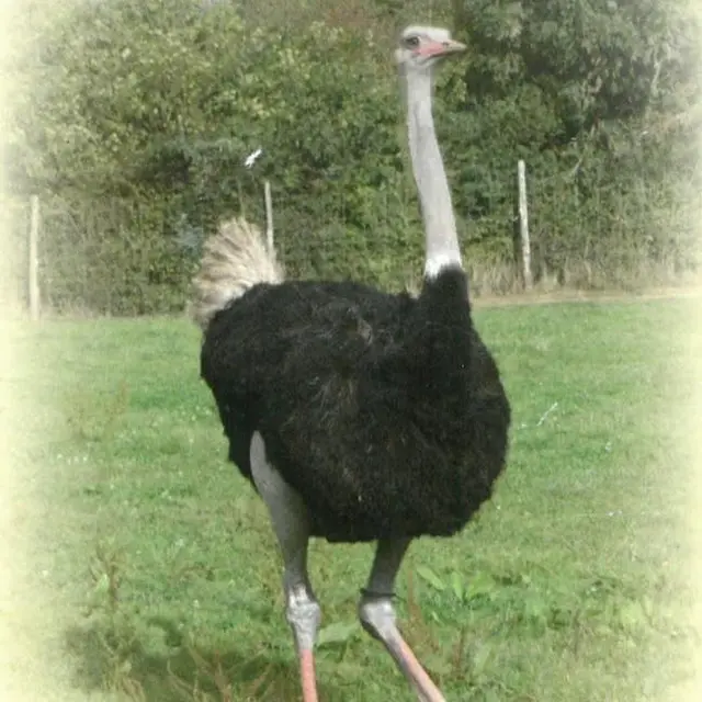 246688966_105814501885335_5145147883552441010_n