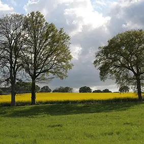 28-CP-Dominique_VERNIER-10007460