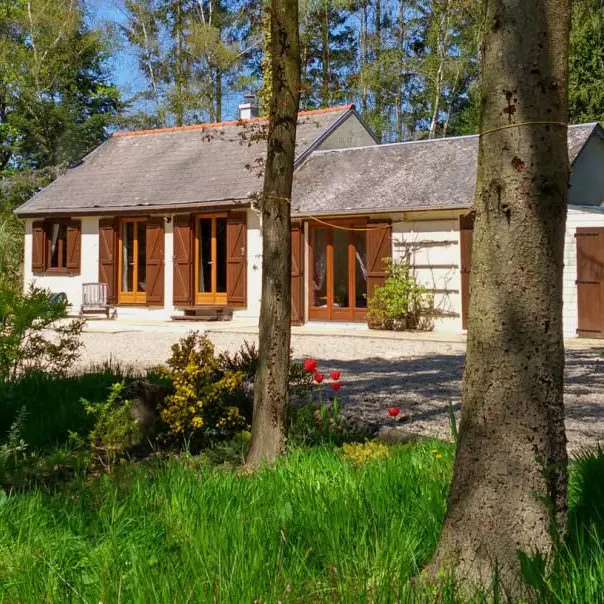 321538_accommodation-for-carp-fishing-in-france-with-lake-and-lodge