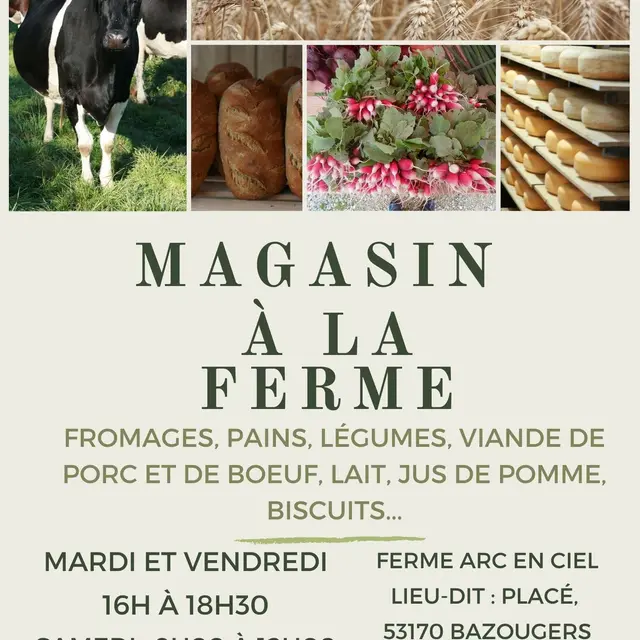 345609002_611016390719772_6015303921239242591_n