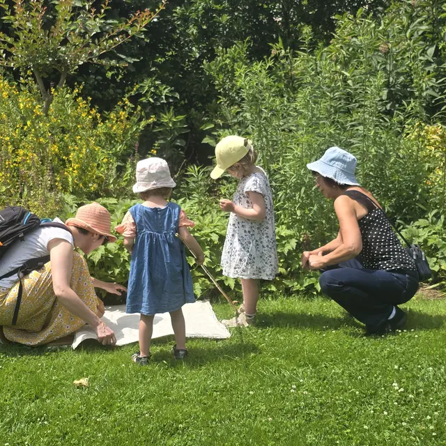 Animations Petites Bêtes, Amies du jardinier Les Jardins des Renaudies 6