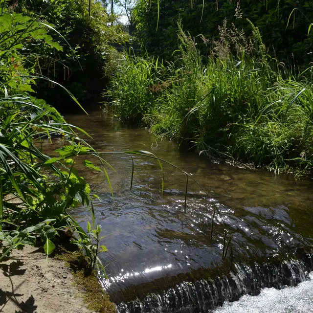 Bais-Lavoir