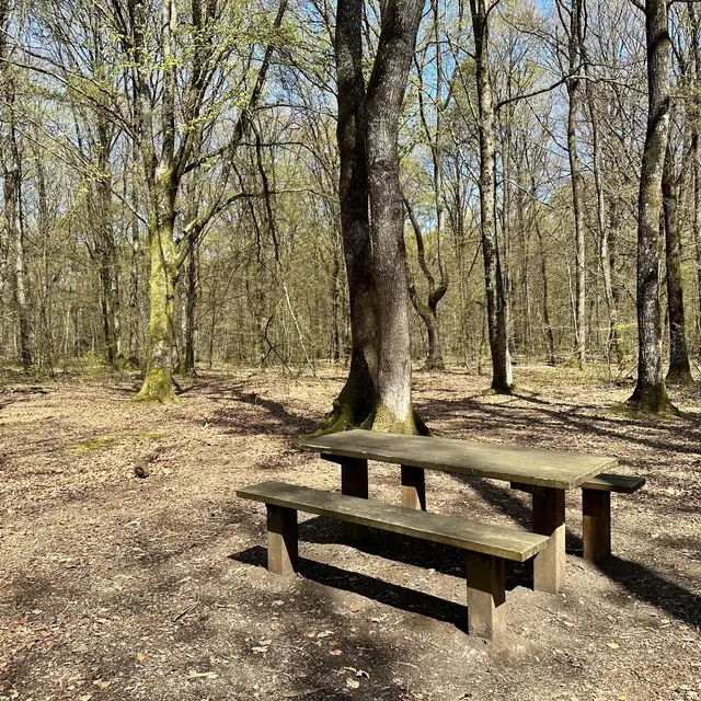 Bois de L Huisserie  003