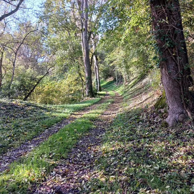 Chemin Les Chapelles