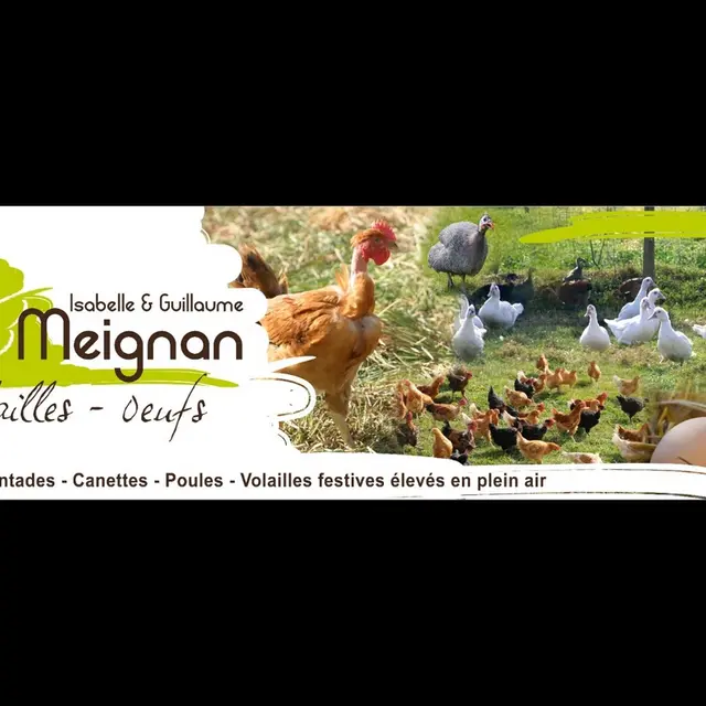 DEG-volailles-meignan